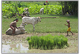  excursion in Siem Reap